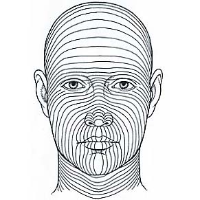 Langer lines illustration